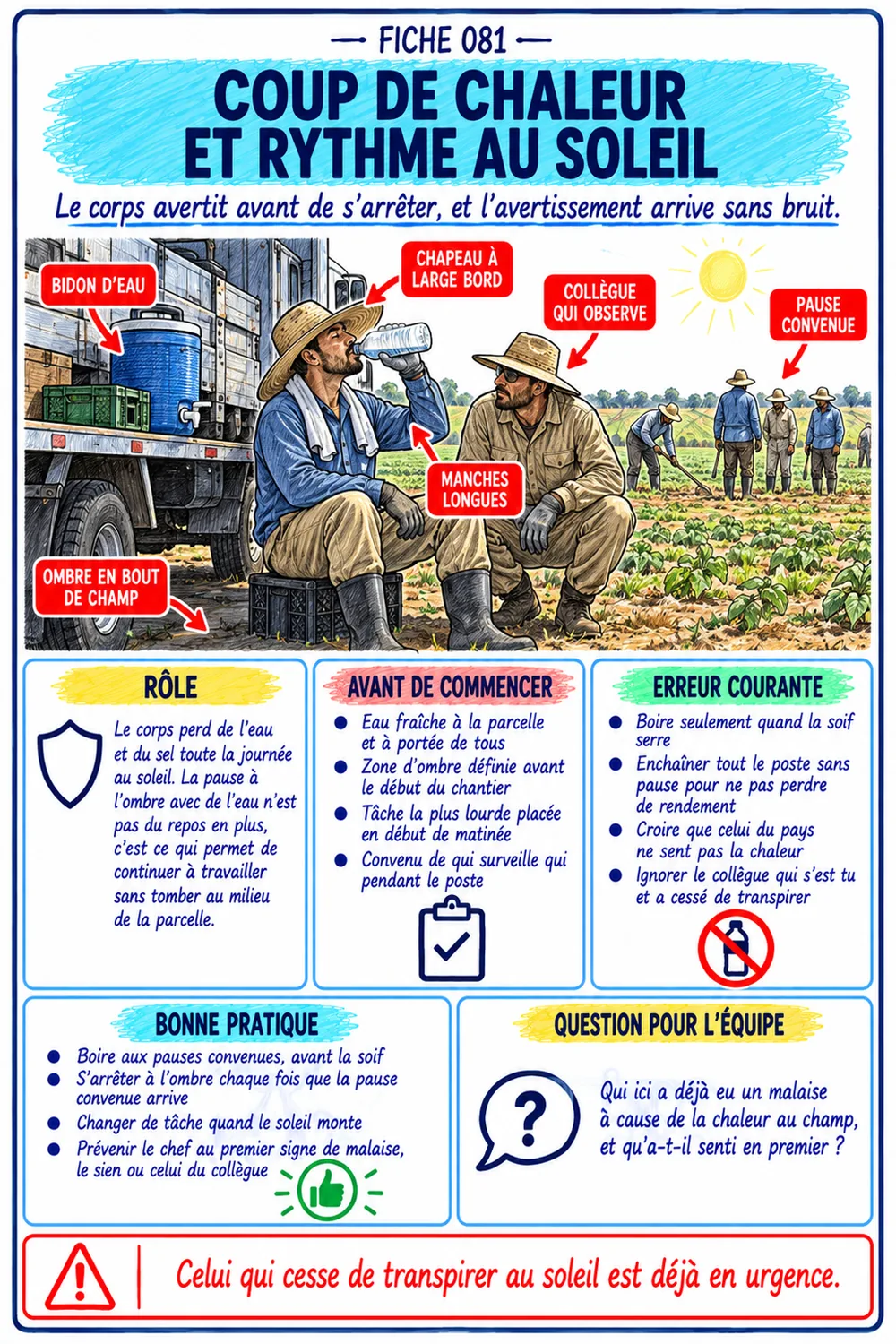 Fiche coup de chaleur et rythme au soleil, Guide des Fortes Chaleurs et de l'Hydratation